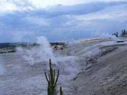 628-2114-J0832