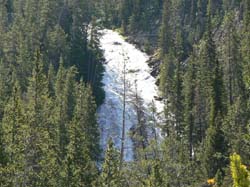 629-0915-J0847
