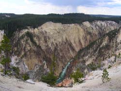 629-1310-M0409