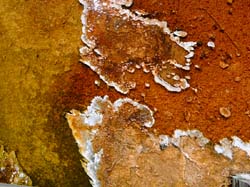 630-1501-P0210