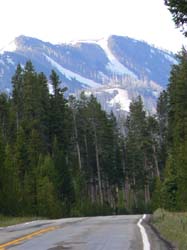 703-0755-J0113