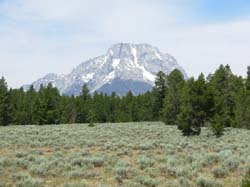 704-1149-S0349