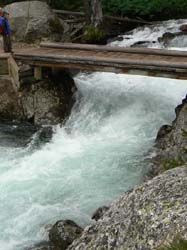 705-1019-J0271